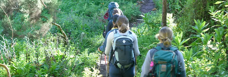 CONTINUE HIKE FROM UMBWE CAVE TO BARRANCO CAMP